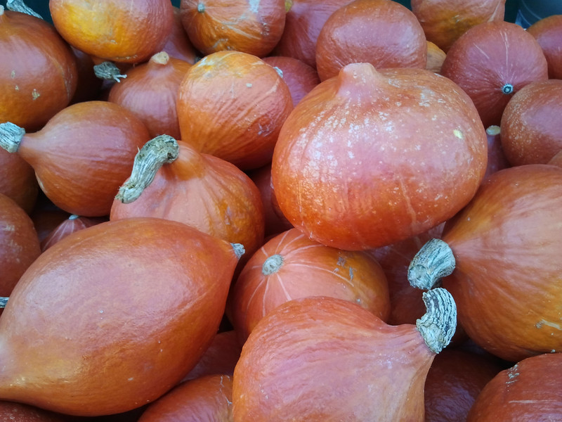 meine ernte: Lagerung