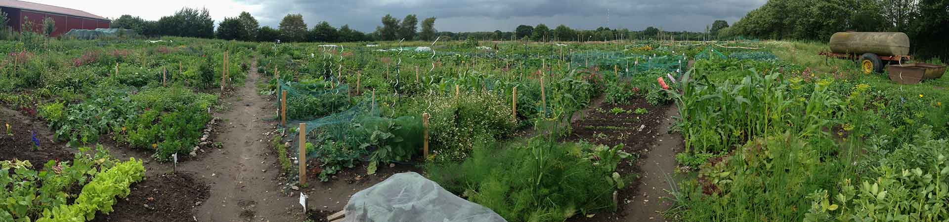 meine ernte Miete Deinen Garten in Stapelfeld bei Hamburg