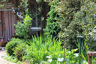 Foto des Bauernhofes Sagel in Bottrop-Kirchhellen Foto des Bauernhofes Sagel in Bottrop-Kirchhellen
