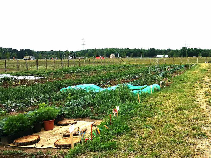 meine ernte Miete Deinen Gemüsegarten in BonnBuschdorf