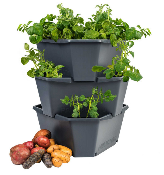 Meine Ernte Kartoffeln Anbauen Pflegen Ernten Und Lagern