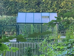 Gewächshaus im Garten