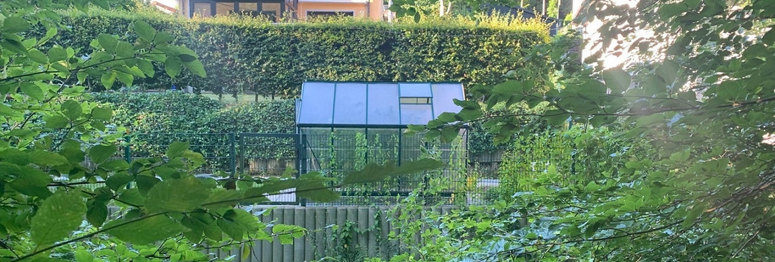 Gewächshaus im Hobbygarten Gewächshaus im Hobbygarten