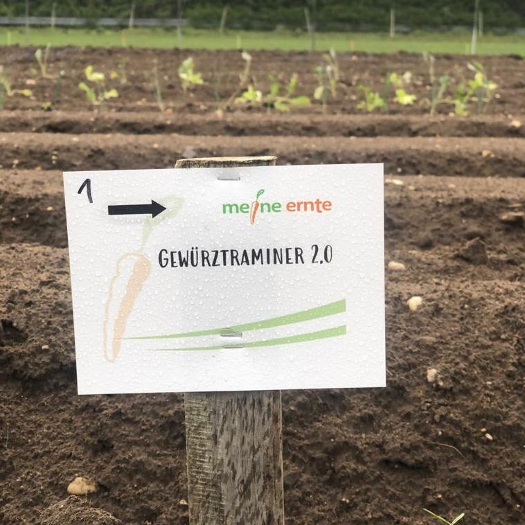 Namensschild für vorbereiteten Mietgärten