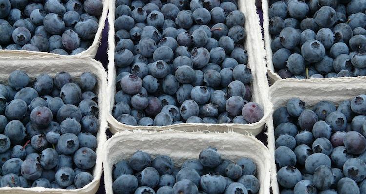 Blaubeeren Blaubeeren
