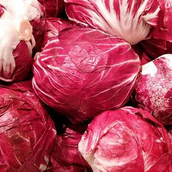 Radicchio schmeckt auch im Winter noch super