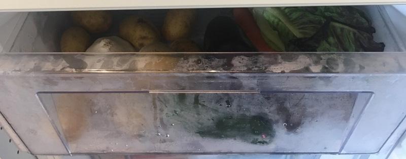 Im Tiefkühlfach hält sich deine Ernte extra lange Im Tiefkühlfach hält sich deine Ernte extra lange
