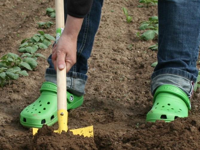 meine ernte: Unkraut jäten leicht gemacht
