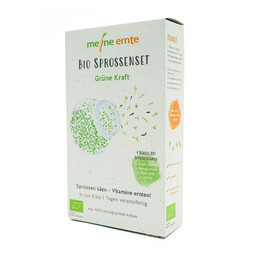 Sprossenpaket Grüne Kraft