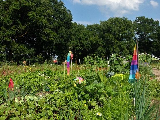 Meine Ernte Miete Deinen Garten In Hamburg Norderstedt