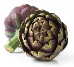 Die Blüten der Artischocke sind sehr lecker