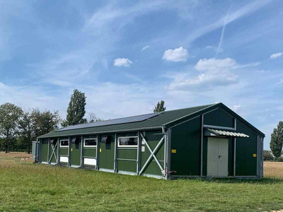 Hühnerhaltung im Freiland