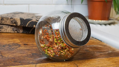 Sprossenglas von meine ernte Sprossenglas von meine ernte