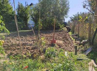 Wichtig ist ein sonniger Standort