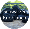 Weiter zu Schwarzer Knoblauch