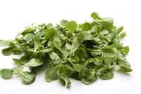 Feldsalat