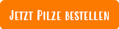 Bestelle dein Pilzzuchtset im meine ernte Shop