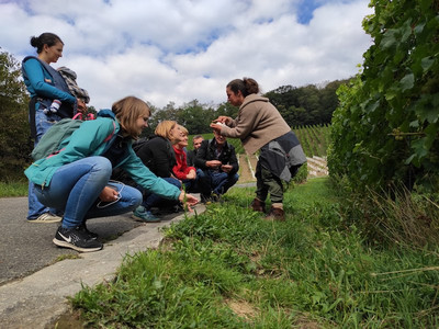 Sonja Schirdewahn erklärt dem meine ernte Team die verschiedenen Wildkräuter