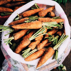 Möhren schmecken im Winter sogar besser als im Sommer