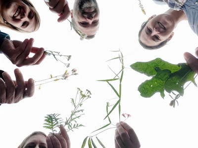 Das meine ernte Team auf Wildkräuter-Tour