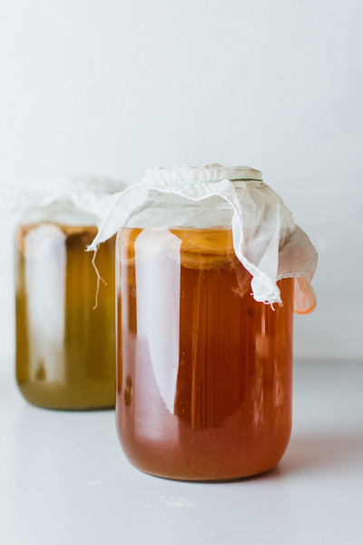 Kombucha selber machen Kombucha selber machen