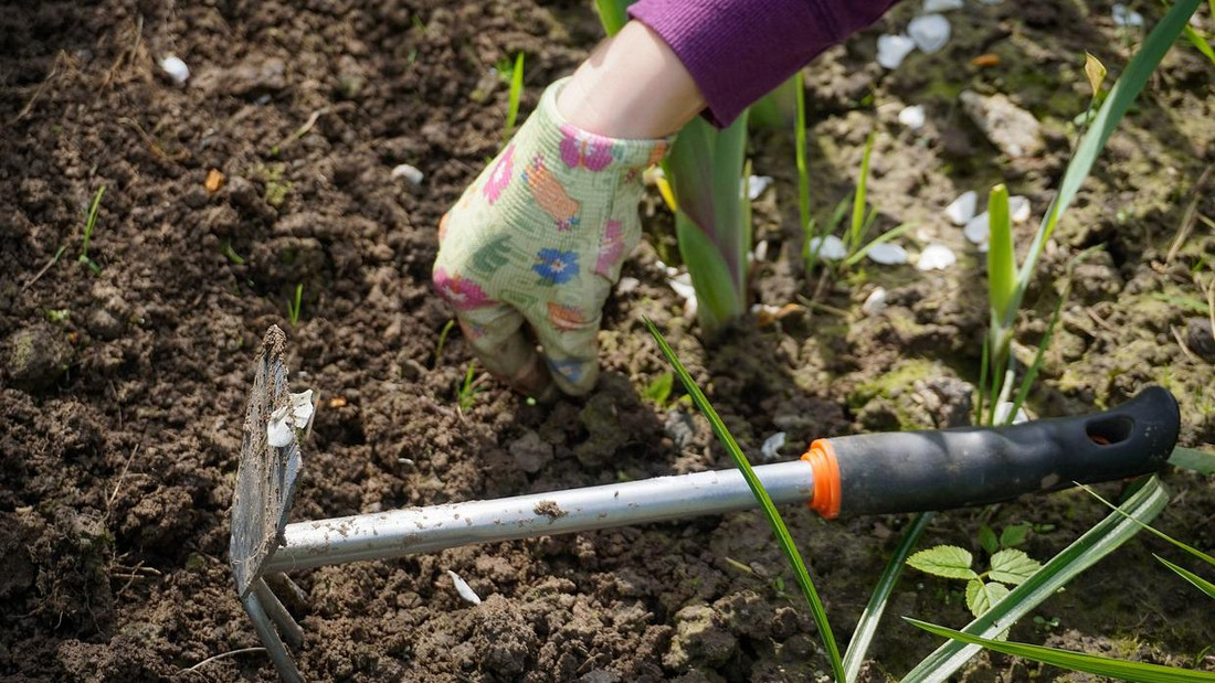 Garten Gärtner Hand Gabel Rechen Grubber Unkraut Boden Jäten klar Felsen 