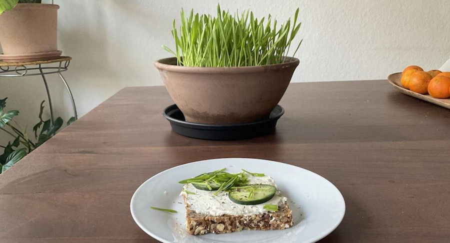 Gerstengras als Brotbelag