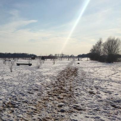 Winterlandschaft