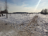 Wintereinbruch im Gemüsegarten