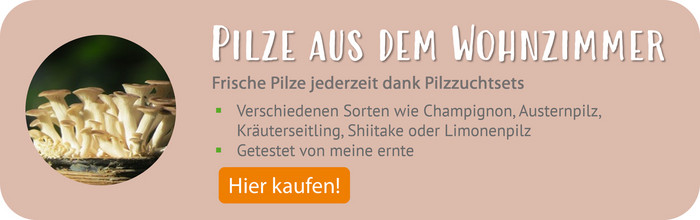 Pilzzuchtsets im meine ernte