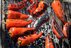 Gerillte Paprika sind ein leckeres Sommergemüse