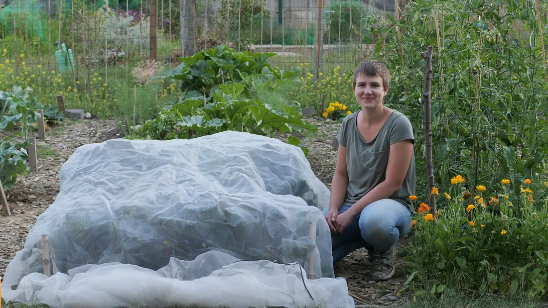 Kulturschutznetze sind eine große Hilfe im Gemüsegarten