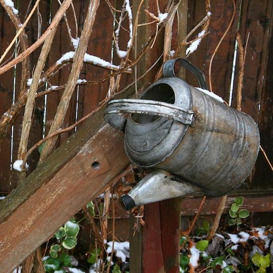 Gießkanne im Winter