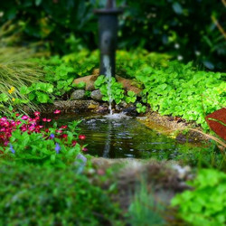 Ein Gartenteich ist ein super Wärmespeicher
