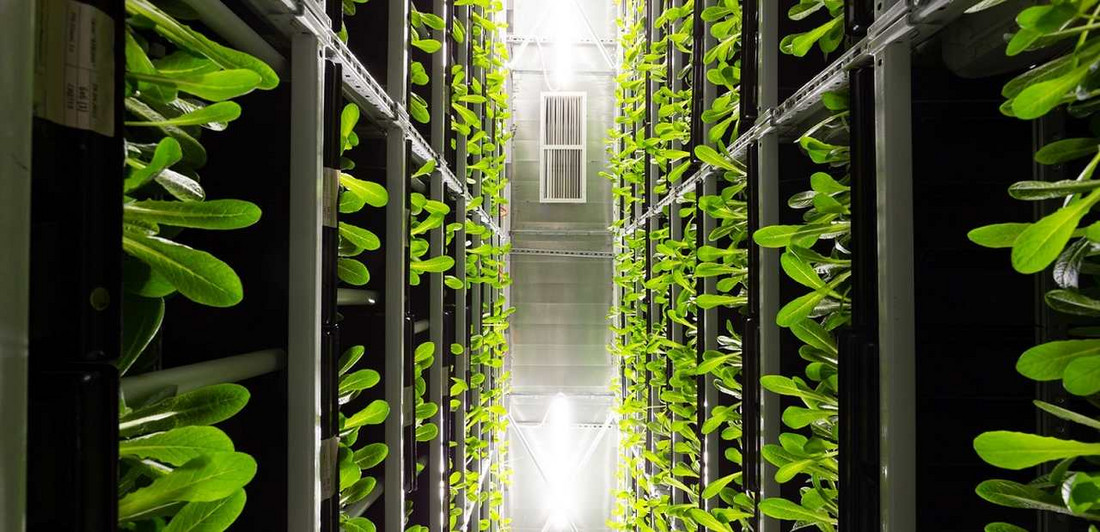 vertical farming vertical farming