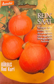 Kürbis Red Kuri