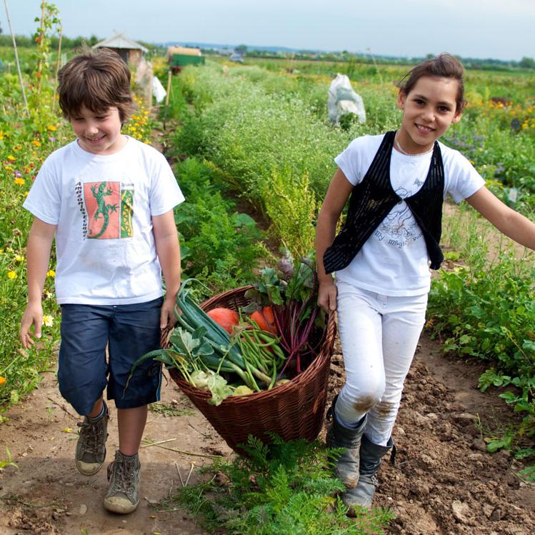 Kinder mit vollem Erntekorb mit Gemüse