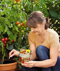 Tomatendünger in Stickform für Topfkulturen