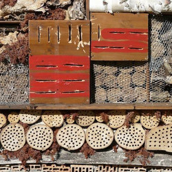 Insektenhotels bieten einen super Unterschlupf für Nützlinge