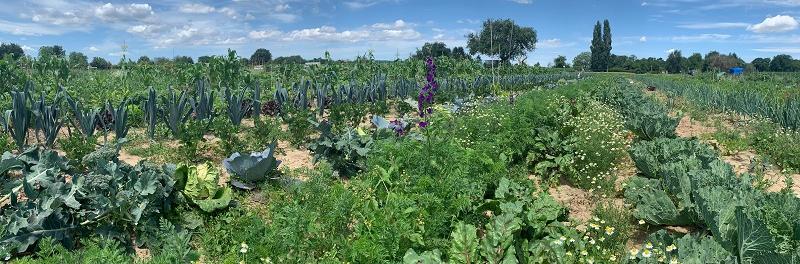 Miete deinen Garten in Stuttgart
