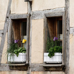 Auch auf einem kleinen Balkon kannst du Kräuter anbauen