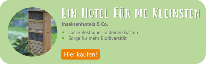 Insektenhotels im meine ernte Shop