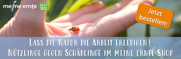 Banner Nützlinge gegen Schädlinge - die natürliche Variante