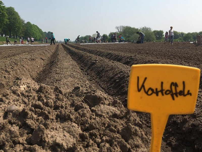 Meine Ernte Kartoffeln Anbauen Pflegen Ernten Und Lagern