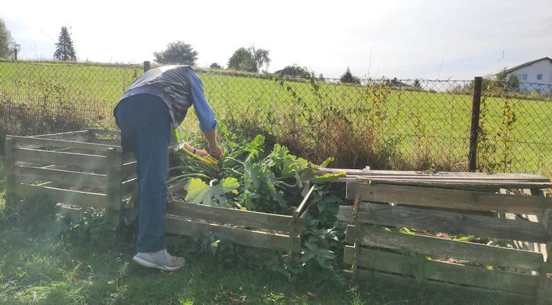 Ein Kompost im Garten spart dir die Bio-Tonne Holzkomposte im Garten