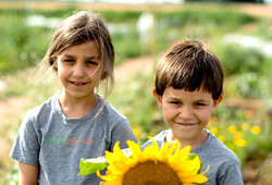 Kinder im Gemüsegarten