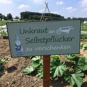 Unkraut für Selbstflücker