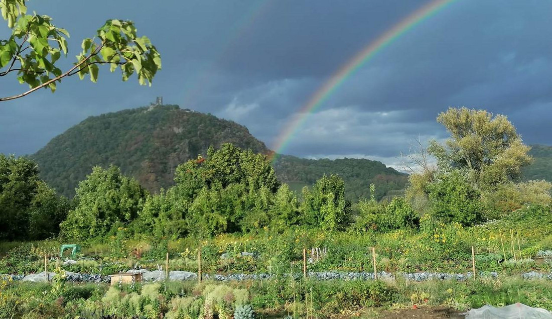 Regenbogenstimmung aufgenommen von Mietgärtnerin Adele Hanenberg