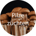 Weiter zu Pilze züchten