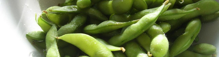 Japaner servieren die gesalzenen Edamame traditionell mit Bier